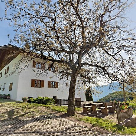 Moar Im Rumsein - Apt Saltenblick Terlano Exterior foto